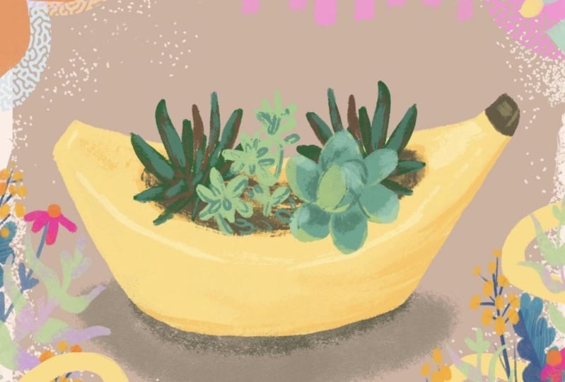 Quirky Banana Planter
