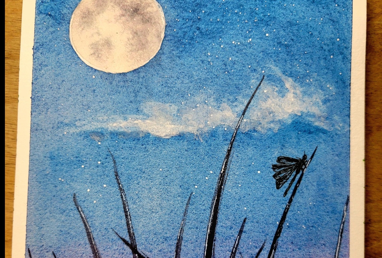 Meadow - student project