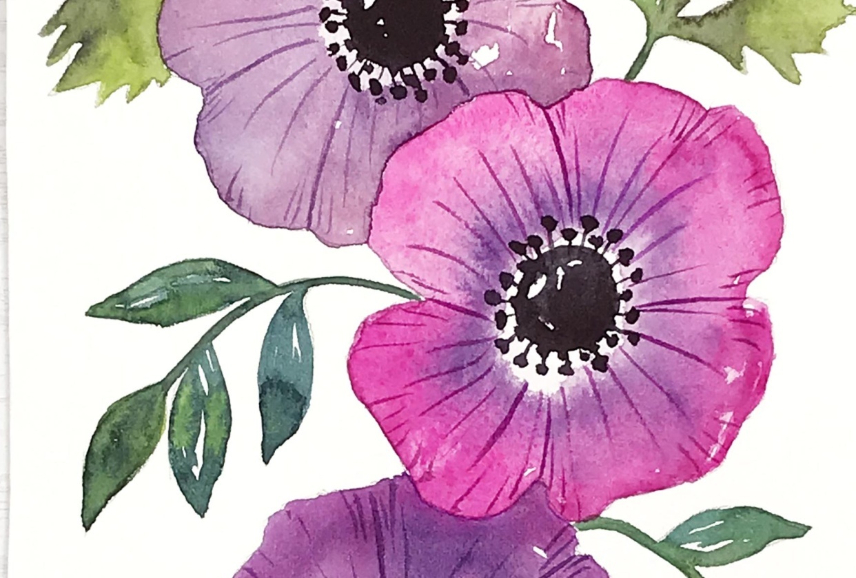 Watercolor Anenome Flowers - student project