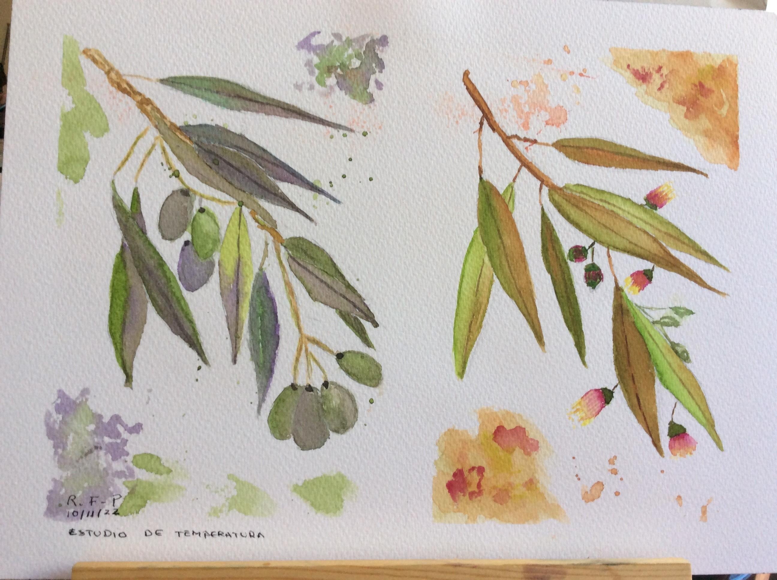 TEMPERATURA DEL COLOR - student project