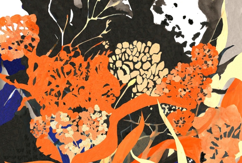 Drawing Nature - Five Creative Sketchbook Activities
