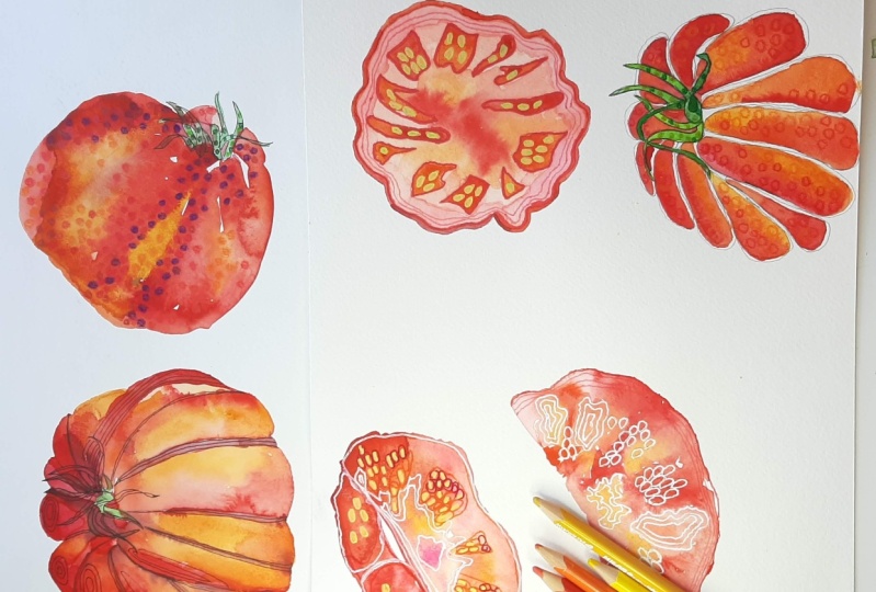 A Page Of Tomatoes