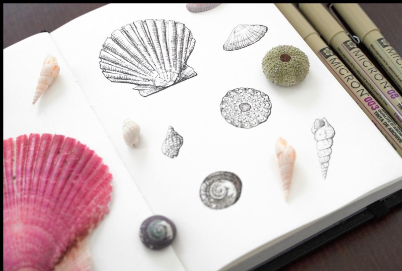 Seashells with Ink pens + Digital