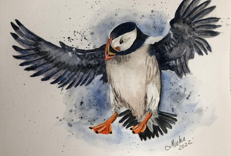 Watercolour Puffin