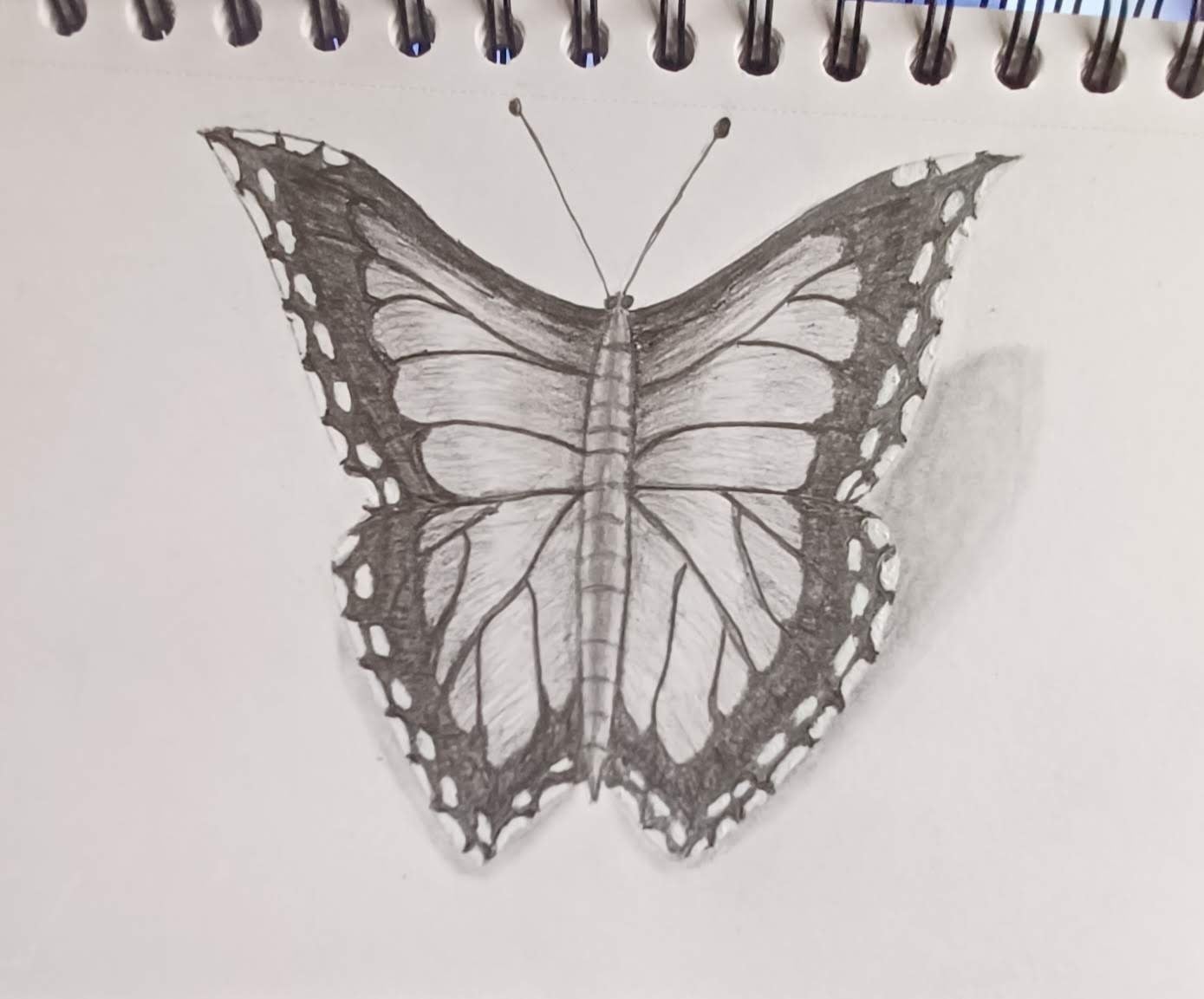 more-projects-from-class-img
