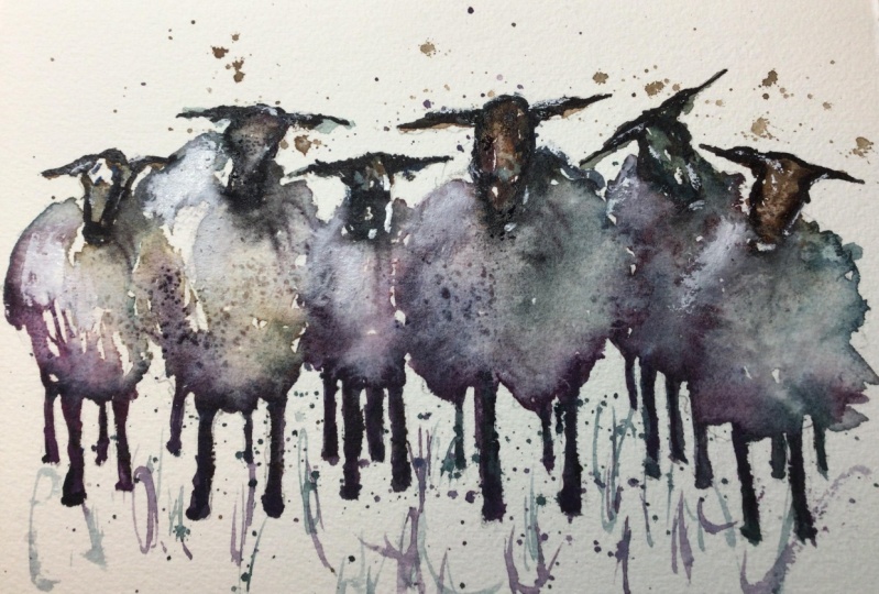 Sheep