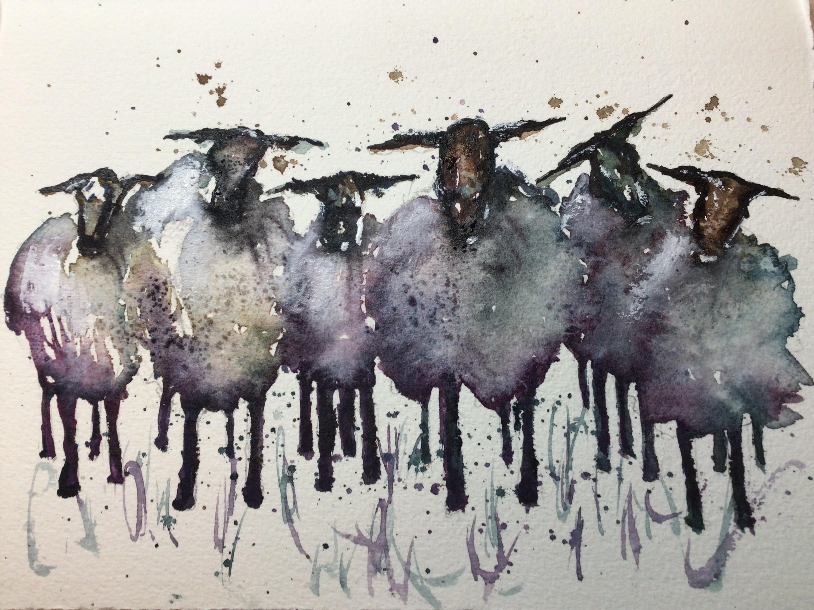 Sheep - student project