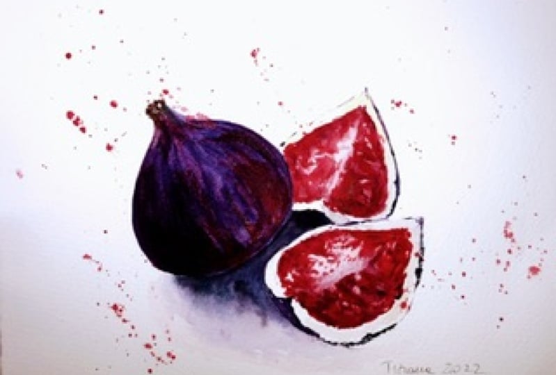 Fichi