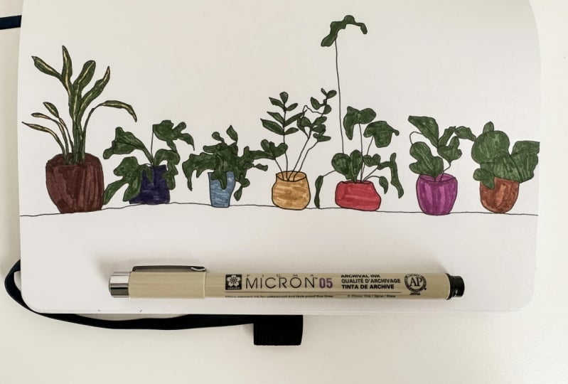 Blind Contour Plants