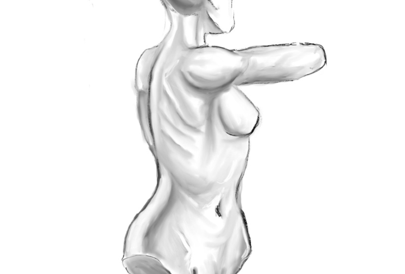 Torso