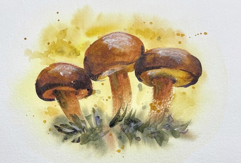 Additional examples of watercolor greeting cards