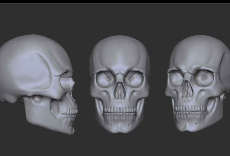 Sculpting the Human Skull