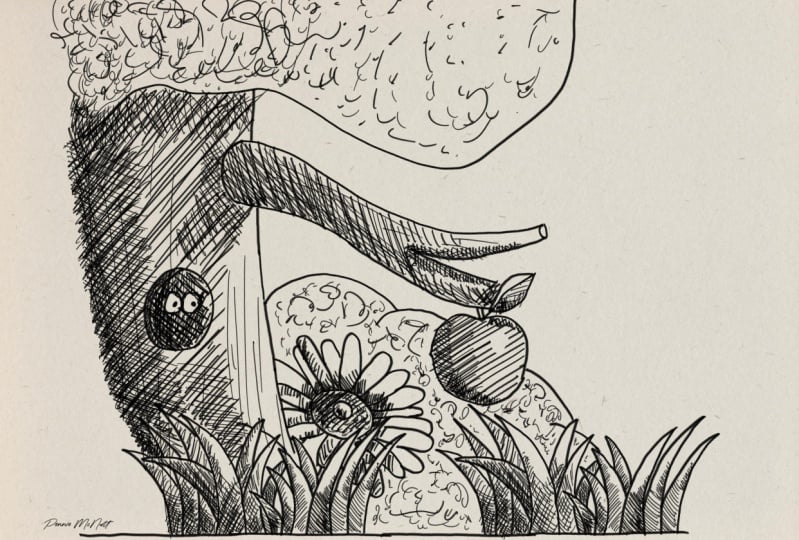 My First Ink Drawing