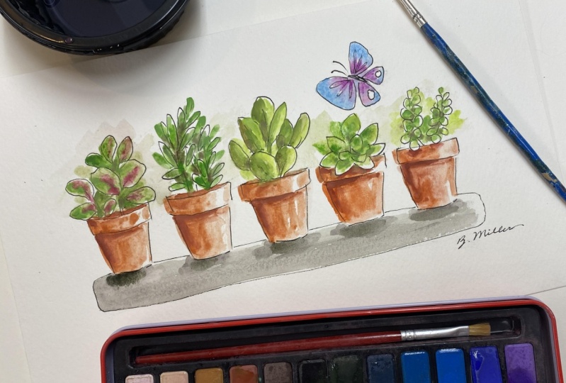 Watercolor and Ink - Succulents