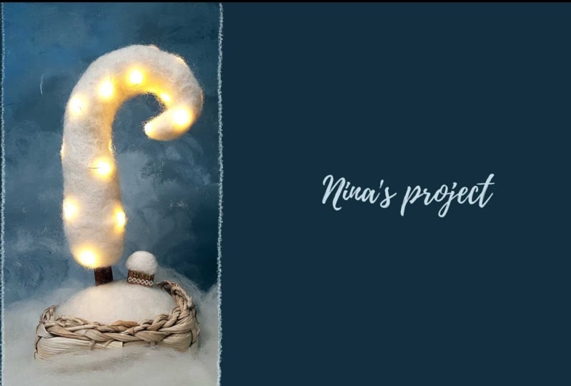 Nina's project