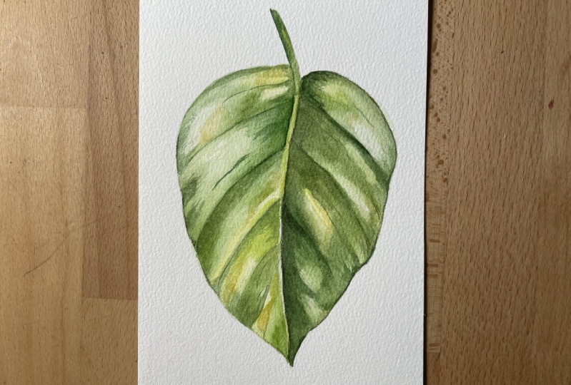 Hoja de Poto