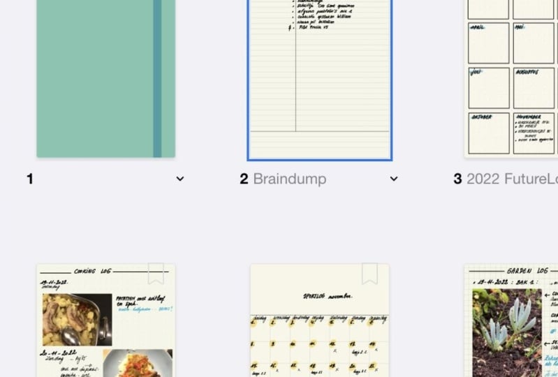 Digital version in GoodNotes