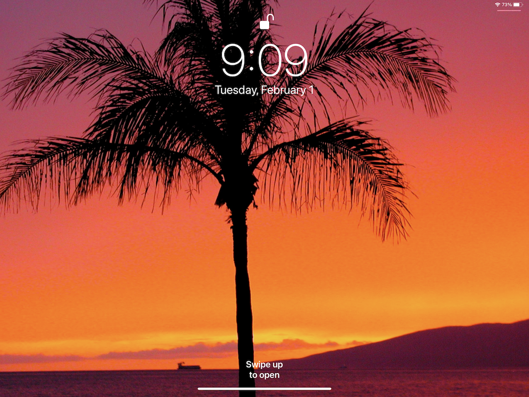 iPad Wallpaper - student project