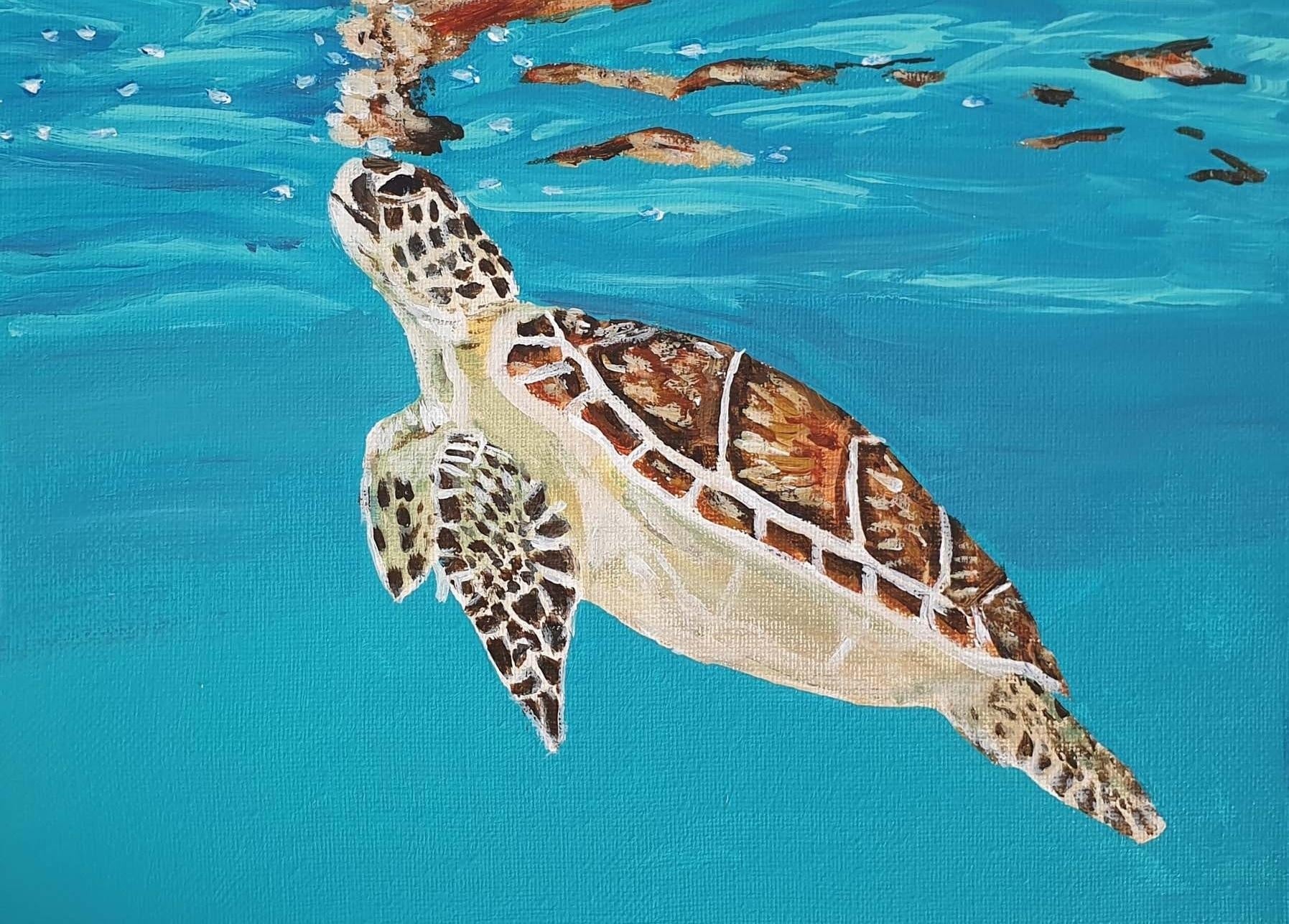 Turtle with reflections - student project