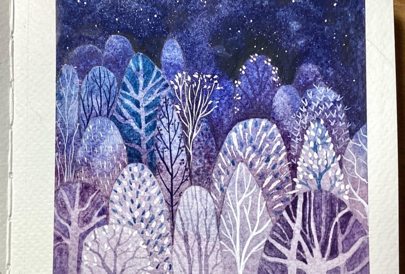Night and Day in the Fairy Forest