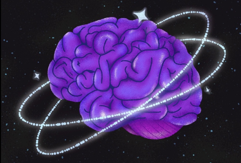Textured Brain in Space
