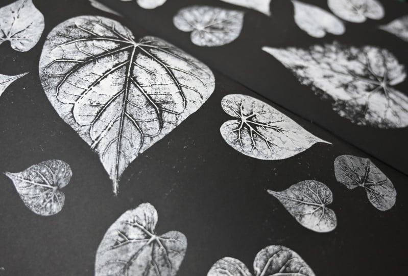 Leaf Prints On Black Paper