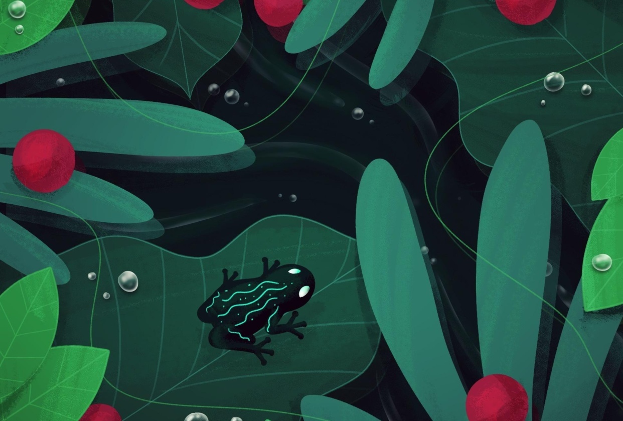 Palmehus' frogs - student project