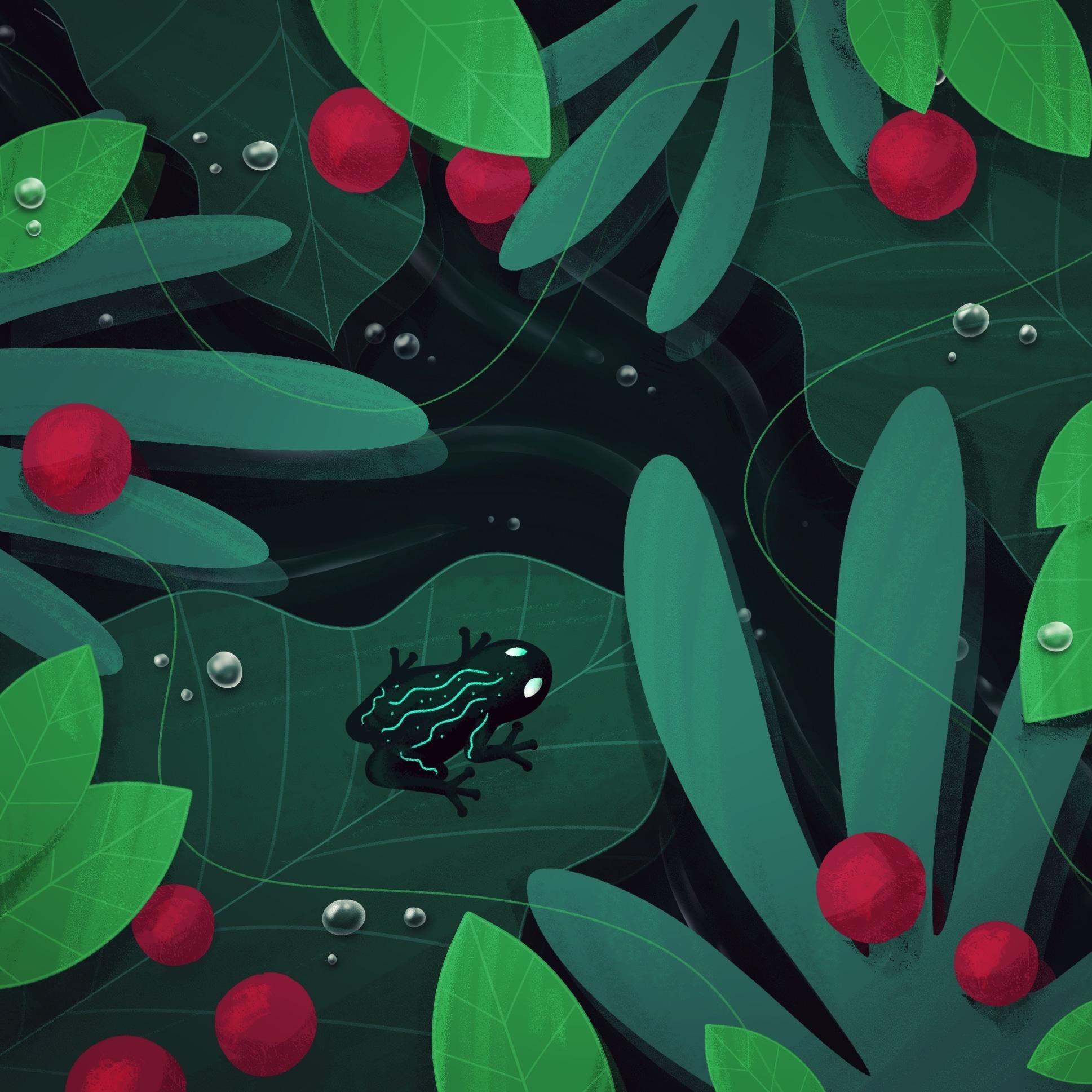 Palmehus' frogs - student project