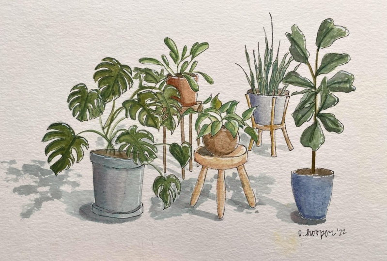 My Plant Friends
