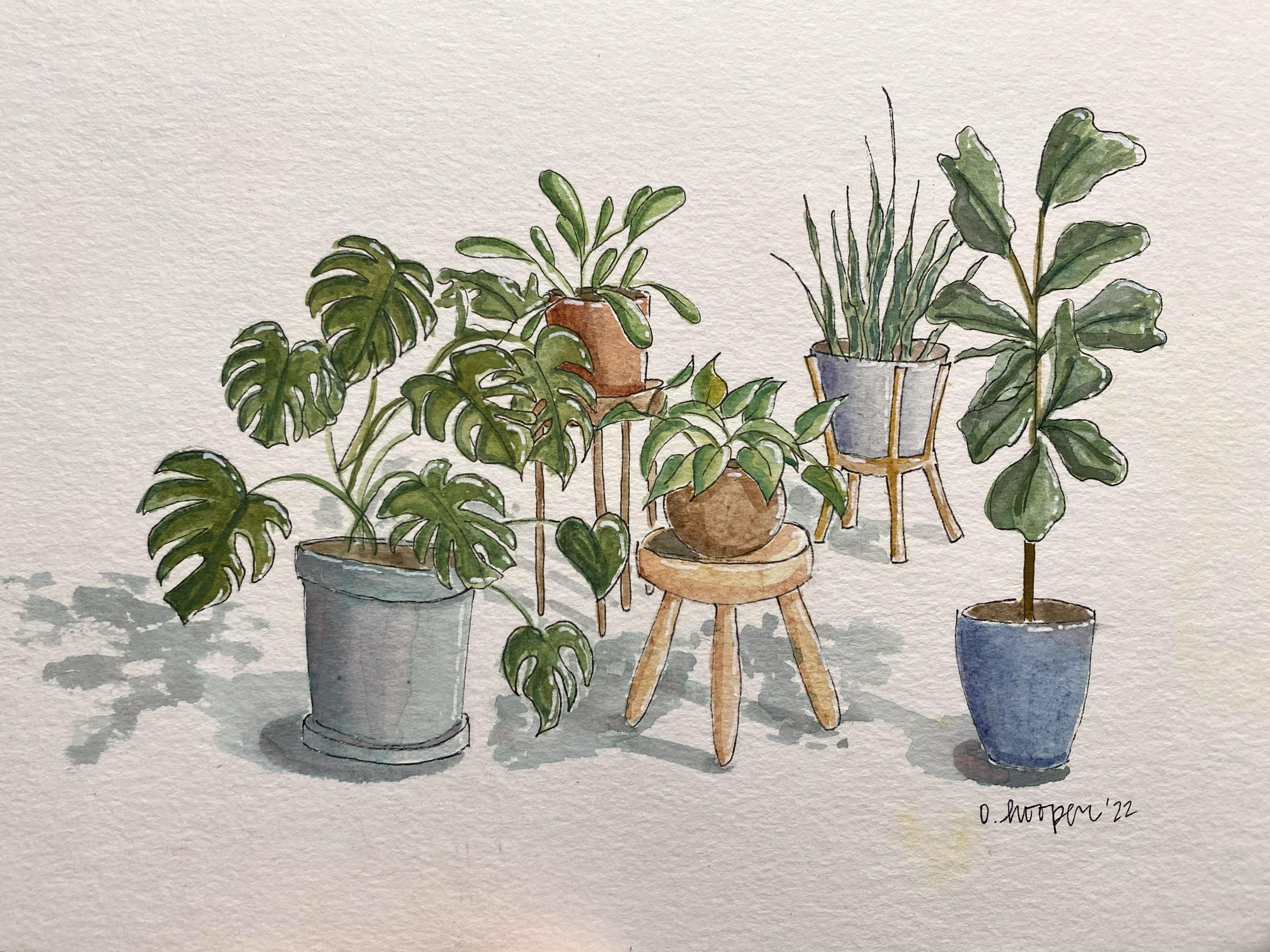 My Plant Friends - student project