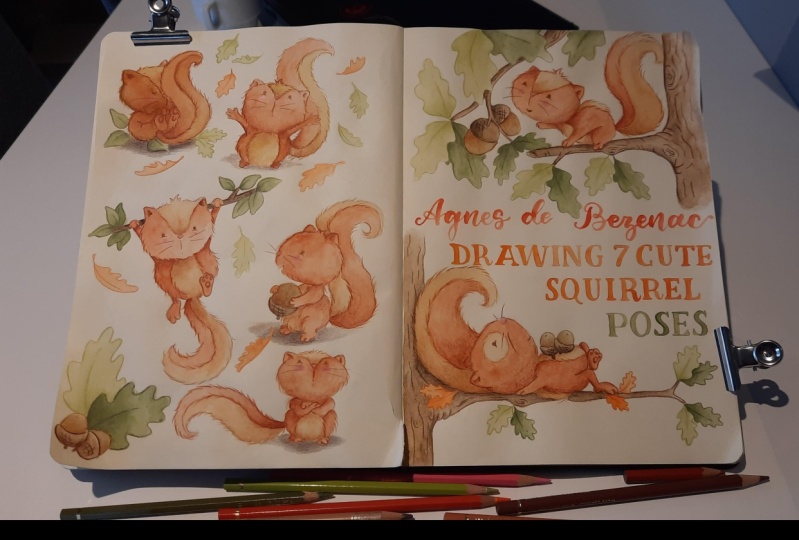 Cute squirrels