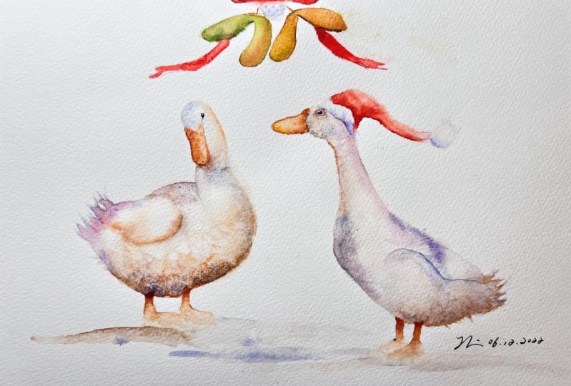 Festive ducks