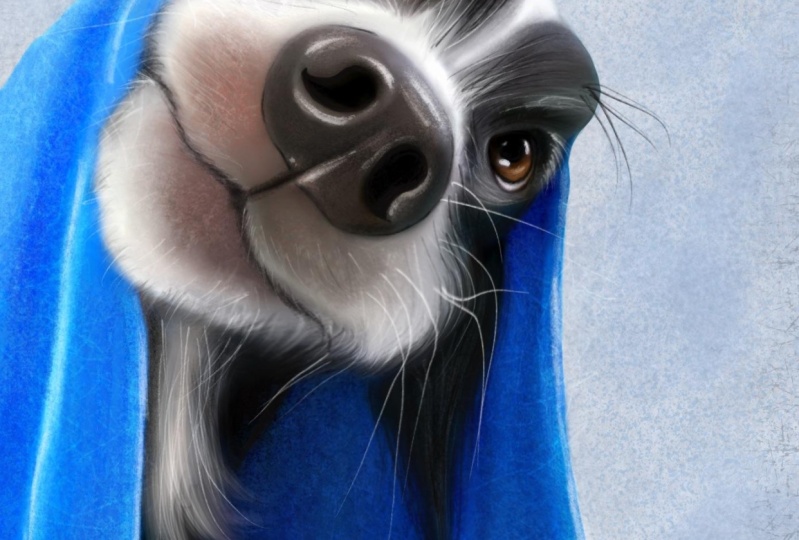 Pet illustration