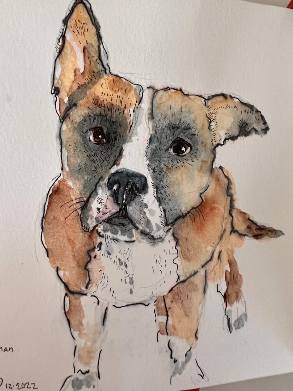 Stella - student project