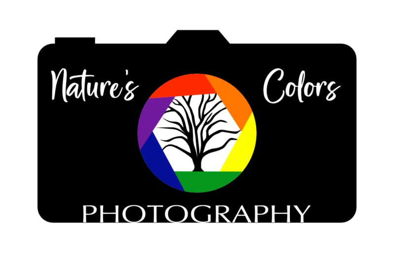 Photography logo