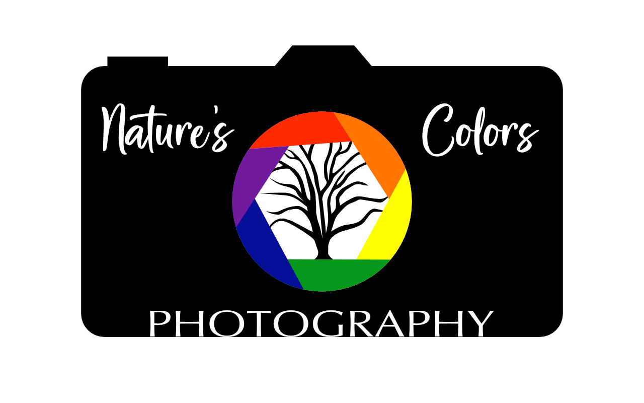 Photography logo - student project