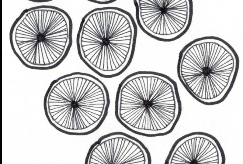 Patterns from Nature---Meditative Doodling