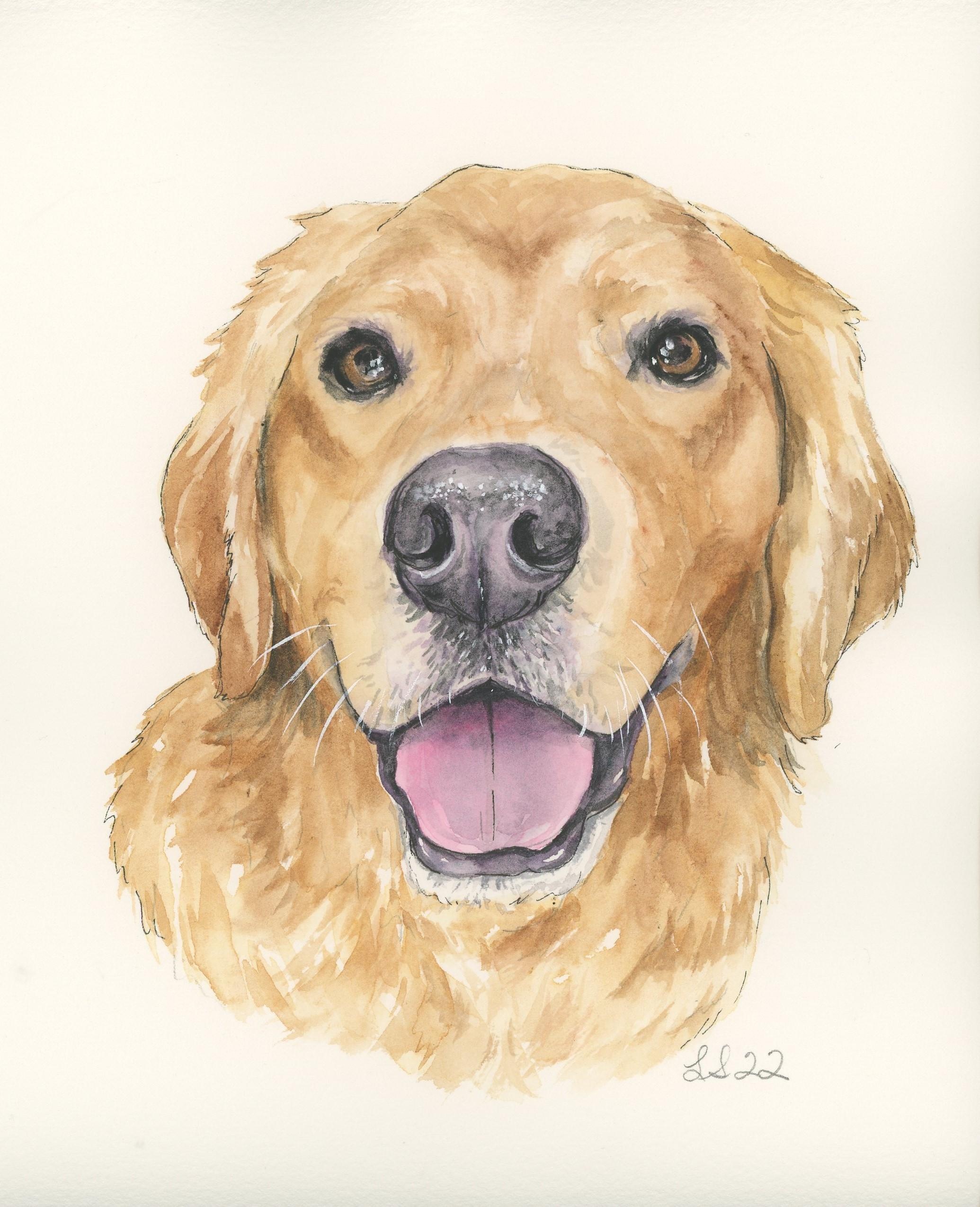 Retratos de cães em aquarela: Golden Retriever | Emily Marie Watercolors |  Skillshare, image size:2070x2550