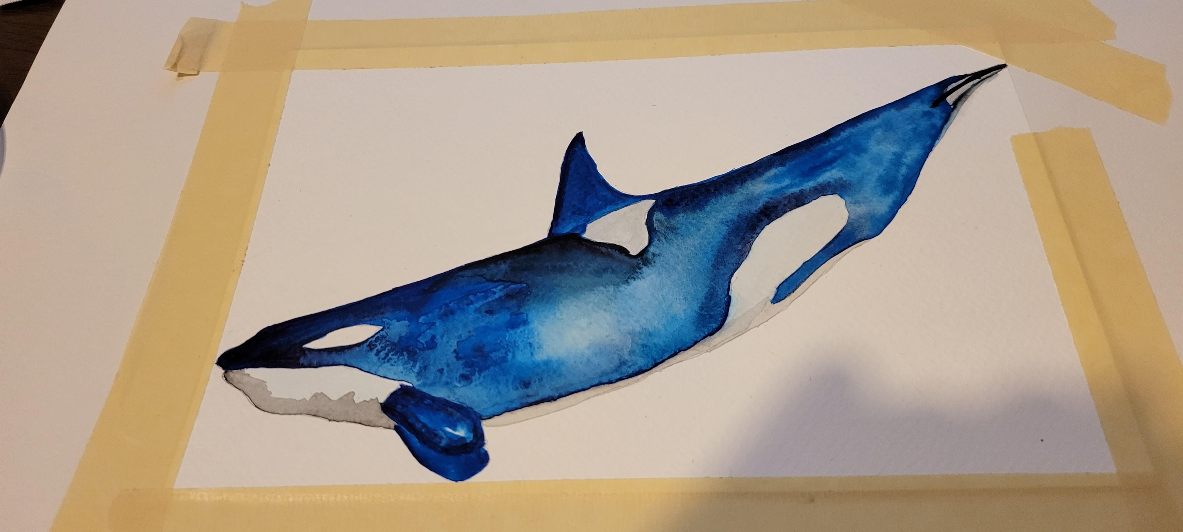 Faune en aquarelle : mélanger des noirs vifs et des couleurs neutres |  Lyndsay Newton | Skillshare, image size:4032x1816