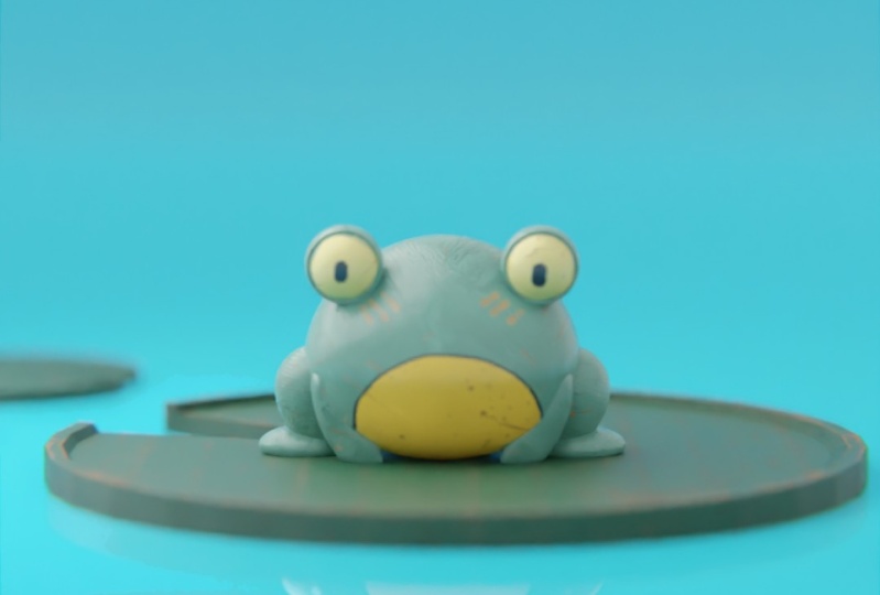My first frog