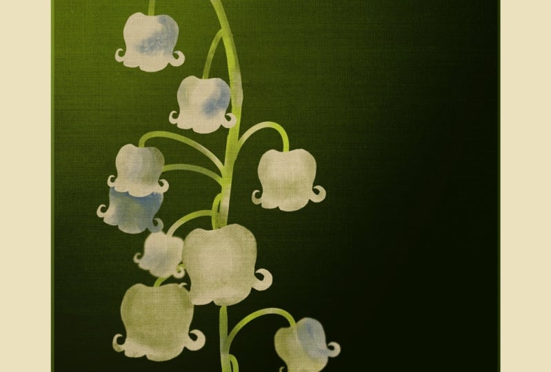 Lily of the Valley
