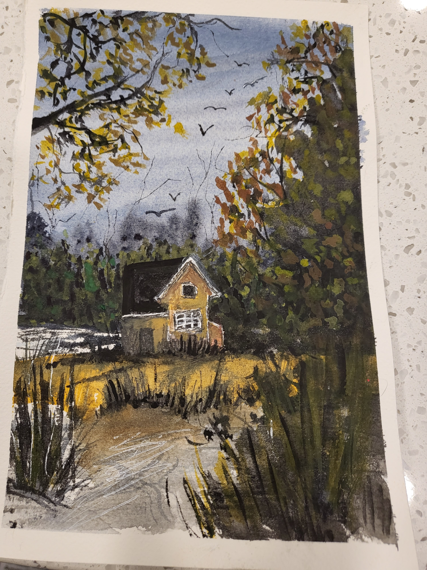 more-projects-from-class-img