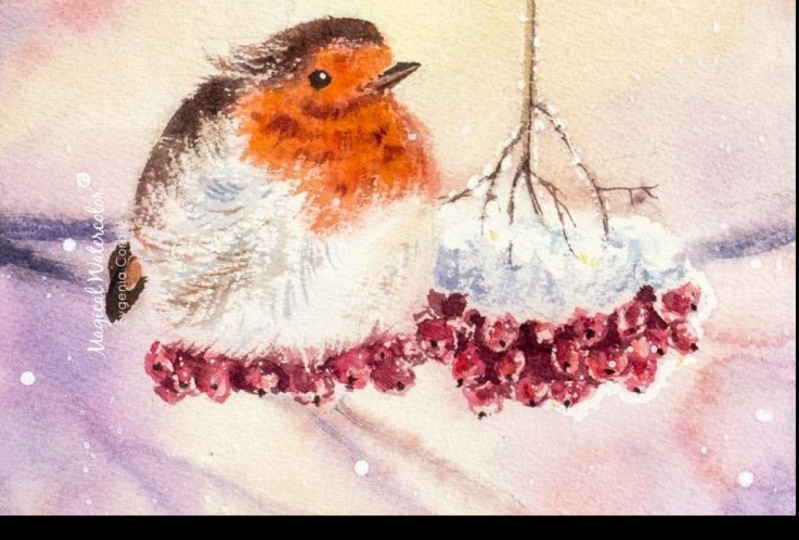Watercolor Robin Birds, Easy - Intermediate - Advanced
