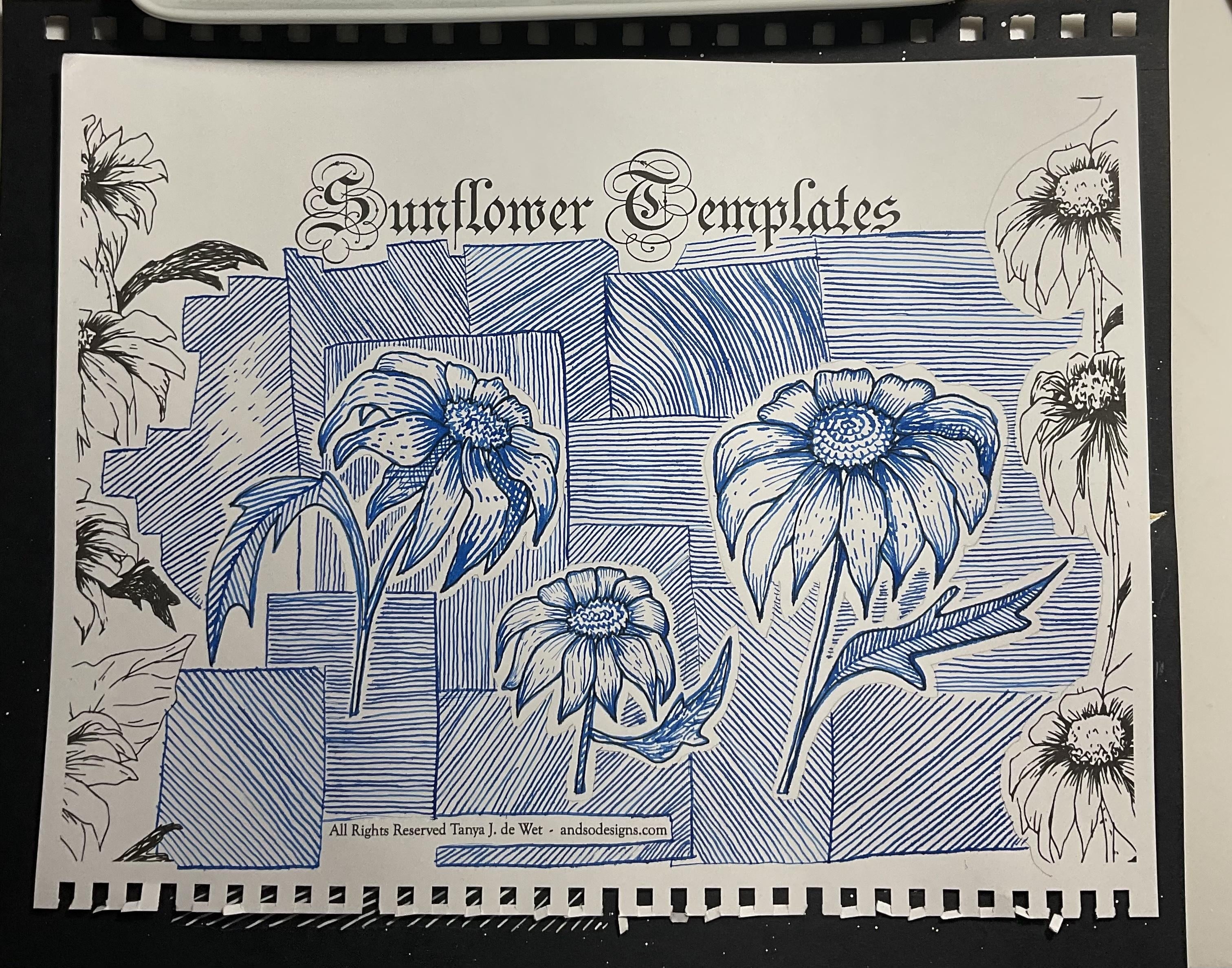 more-projects-from-class-img