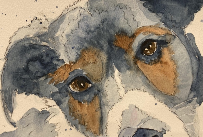 Dog portrait - 12-26-2022