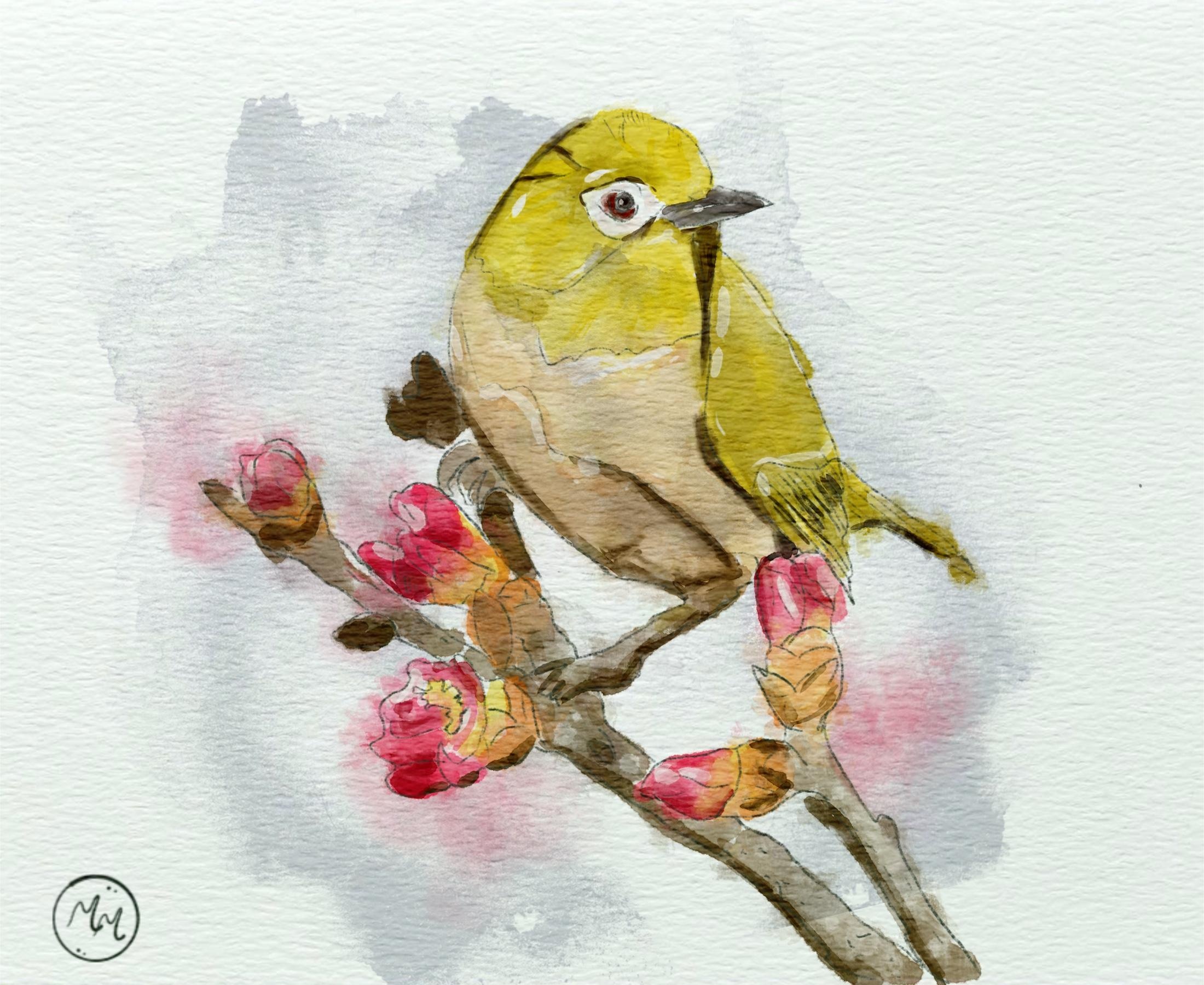 Watercolour bird - student project