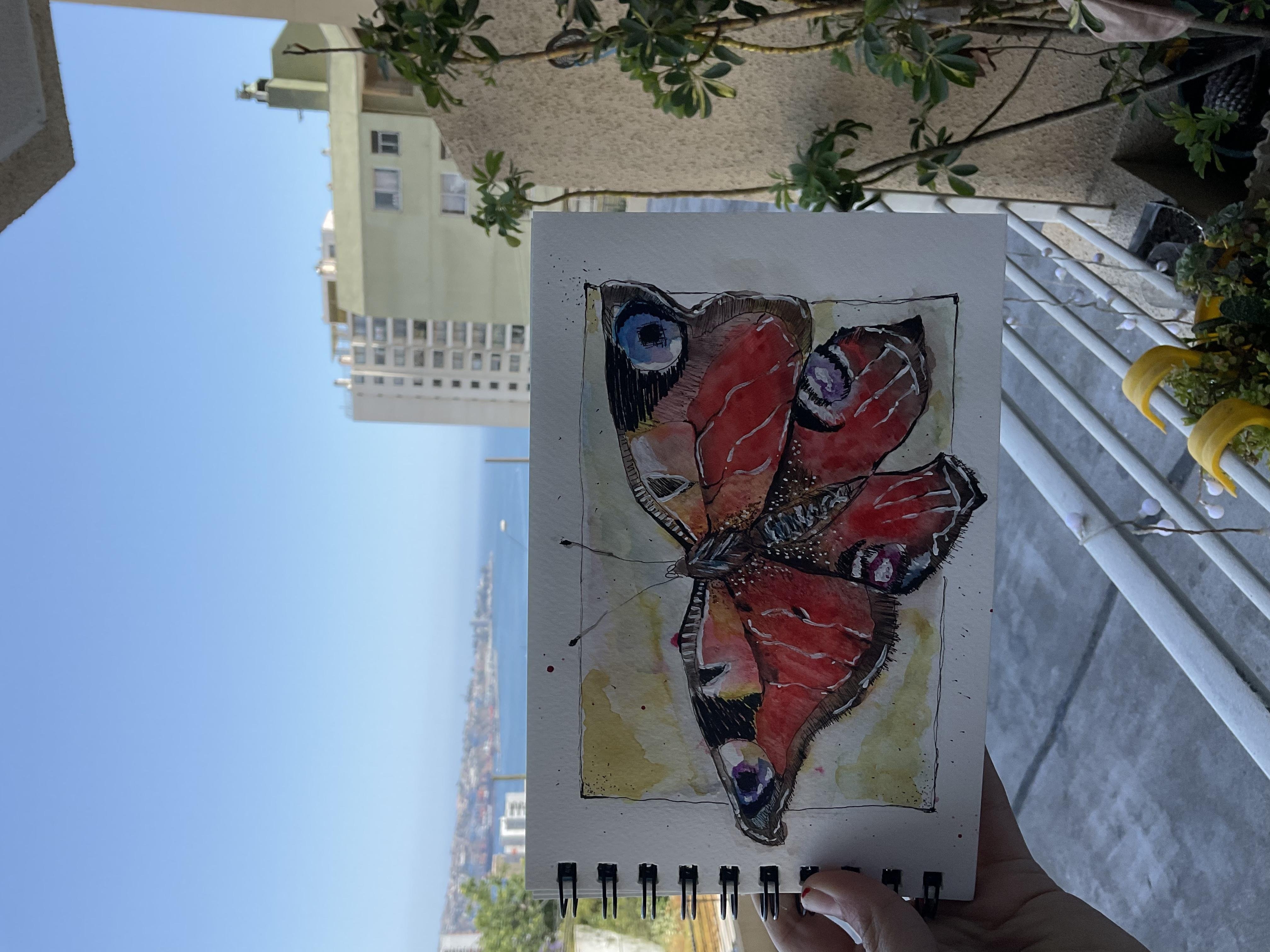 Butterfly - student project