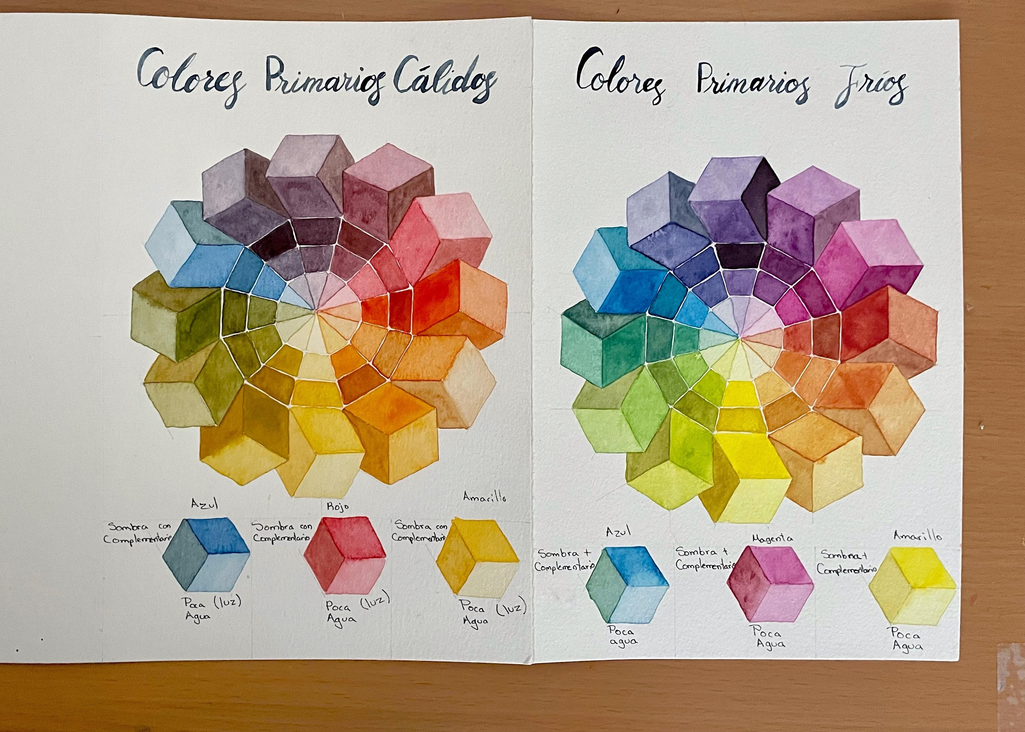 Tonalidades de colores fríos y cálidos