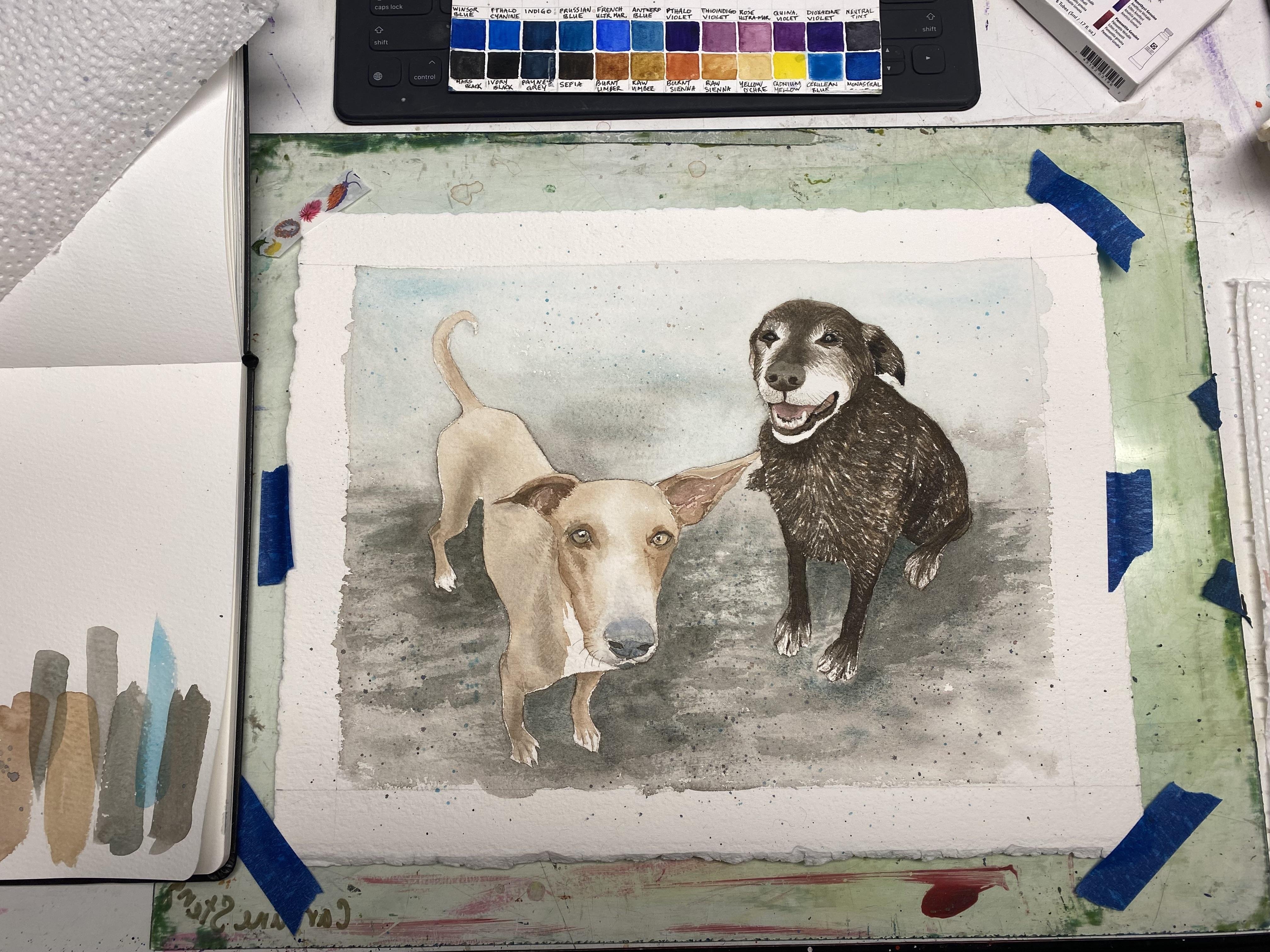 Felix and Nigel - student project