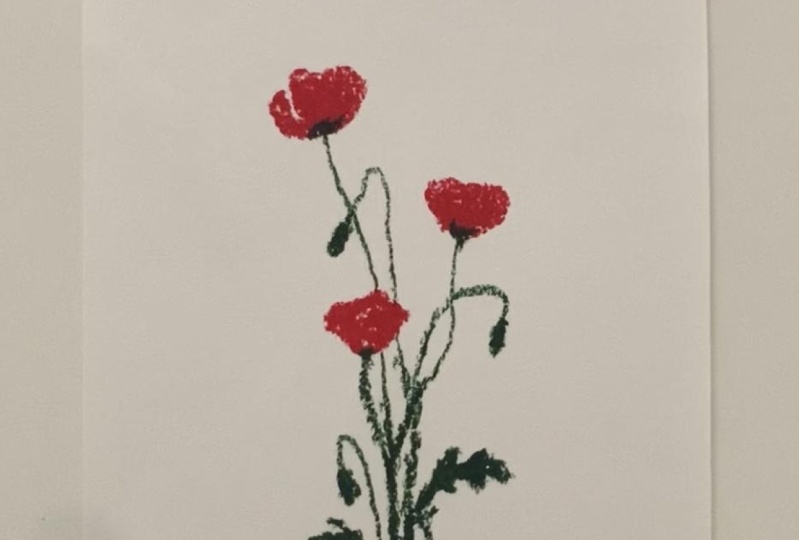 Poppies with oil pastels